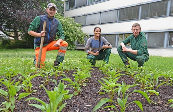 ausbildung_stadttrier