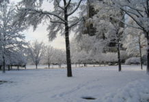 Heute Sturm und morgen Schnee – der Winter kommt zurück
