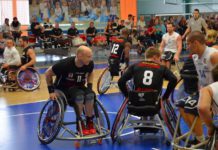 Spitzenspiel der Dolphins – Kostenloser Eintritt für TBB-Besucher