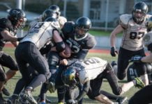 American Football: Stampers in Gießen überrollt
