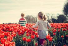 25. Kultursommer Rheinland-Pfalz