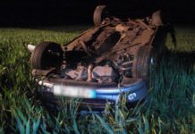 Tüte ausgewichen – Überschlag endet im Feld