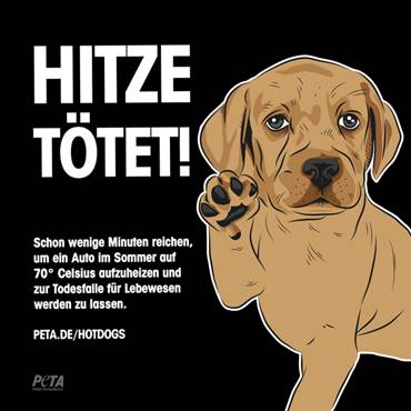 hunde_hitze