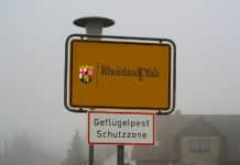 Vogelgrippe breitet sich in Rheinland-Pfalz weiter aus