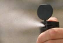 Überfall mit Pfefferspray-Attacke im Zug: Polizei schnappt Räuber-Duo