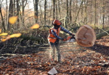 Saisonaler Anstieg der Arbeitslosigkeit – 8.740 Menschen in der Region Trier arbeitslos
