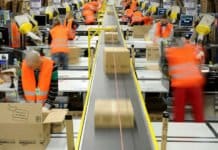 Trend zu mehr Erwerbstätigkeit in Rheinland-Pfalz setzt sich fort