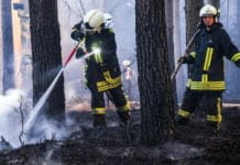 Waldbesucher aufgepasst! Waldbrandgefahr rund um Trier steigt an