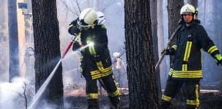 3000 Quadratmeter Wald und Gebäude in Flammen: Ermittlungen wegen Brandstiftung