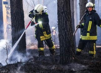 3000 Quadratmeter Wald und Gebäude in Flammen: Ermittlungen wegen Brandstiftung
