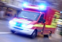 Hund verletzt elfjährigen Jungen schwer
