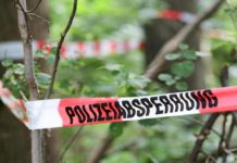 Tödlicher Arbeitsunfall im Weinberg