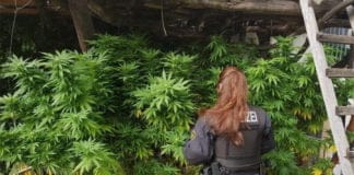 Nach Groß-Razzia im Sommer: Erste Urteile im Trierer Drogen-Prozess gefallen