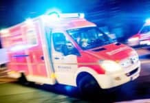 Angriff auf Waldweg: Unbekannter lässt Hund auf Rentner los und schlägt ihn krankenhausreif!