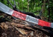 Saarland: Schneller Fahndungserfolg – Festnahme nach Leichenfund nahe Rastplatz!