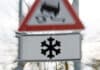 ++ Region: Gefrierender Regen macht Straßen glatt — Schnee in Sicht ++