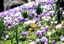 ++ Sonne und frühsommerliche Temperaturen: Traumwetter in der Region ++