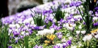 ++ Sonne und frühsommerliche Temperaturen: Traumwetter in der Region ++