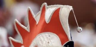 Trier, Koblenz, Mainz: Karneval im Wandel — Immer mehr feiern nüchtern