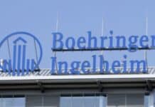 Boehringer-Deutschlandchef: Industrie wird de-priorisiert – Investitionen unwahrscheinlicher