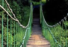 Flutschäden: 110-Meter-Hängebrücke in der Südeifel geplant