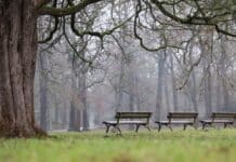 ++ Wetter in der Region: Mix aus Regen und Wolken zum Wochenstart ++