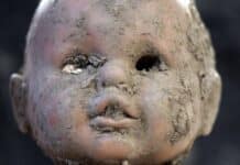 Haus der Geschichte: Objekte der Flut im Fokus – “stumme Zeugen” der Katastrophe