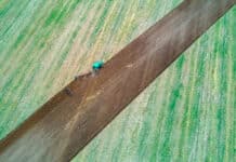 Neue Karten: 28 Prozent der Agrarfläche in Rheinland-Pfalz mit Nitrat belastet