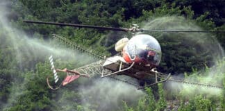 Apollofalter: Eilantrag gegen Hubschrauberspritzungen an der Mosel erneut erfolglos