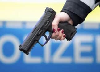 Blutiger Wald-Spaziergang: Mann durch Beinschuss verletzt