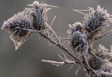 ++ Region: Frostige Nächte und Glätte – Sonne am Wochenende ++