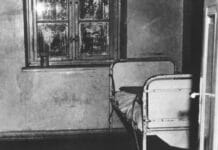 Ausstellung im Palais Walderdorff gibt Opfern der NS-„Euthanasie“ ein Gesicht