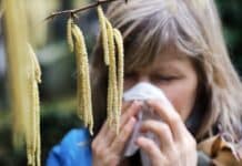 Trier: Krankenkasse schaltet kostenlose Heuschnupfen-Hotline — Expertenteam berät und unterstützt