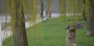 ++ Schauerartige Regenfälle möglich: Trübes Wochenende in der Region ++