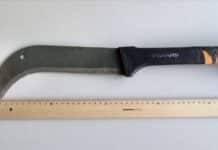 Luxemburg: Geisterfahrer, Machete bei Dealer gefunden, Hund schwer verletzt