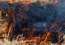 Flächenbrände bei Wittlich: Feld und Grünstreifen an Radweg in Flammen