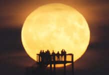 Himmelsspektakel „Super-Mond“: Größter Vollmond seit Jahren leuchtet heute Nacht
