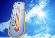 ++ Region: Hitzewelle im Anmarsch – Bis zu 37 Grad und Gewittergefahr ++