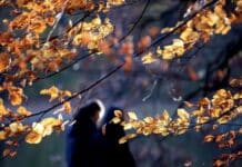 ++ Wetter: Freundliche Herbsttage und kühle Nächte in der Region ++