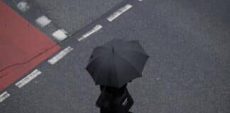 ++ Region: Wochenend-Wetter wird milder und regnerischer ++