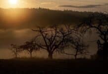 Region: Trockenes und nebliges Herbstwetter – nachts Frost in Bodennähe