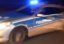 Eifelkreis: Ekel-Fund an der B51 – Illegale Ablagerung von Wildschweinkadavern