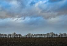 ++ Schauer und Gewitter in der Region – Wochenstart wieder ruhiger ++