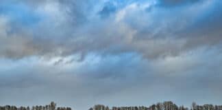 ++ Wetter in der Region wird deutlich milder — Temperaturen bis zu 13 Grad ++