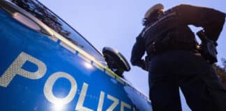 Tierischer Polizeieinsatz: Abenteuerlustiger Pudel auf der B51 Polizist vor einem Polizeiwagen.