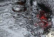 ++ Region: Bis zu 50 Liter Regen möglich — starke Böen im Bergland ++