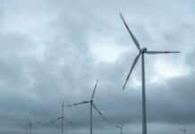 Windkraft in Trier: Landesbehörde genehmigt Flächen – der Streit um Windräder geht trotzdem weiter