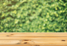 Nachhaltigkeit: Darum werden Möbel aus Holz immer beliebter