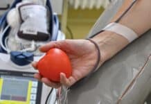 Notstand bei Blutreserven: Immer weniger Spender in RLP — Blutspenden zur Routine machen