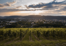 Resiliente Städte: Wie deutsche Kommunen dem Klimawandel trotzen können